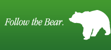 Follow the bear